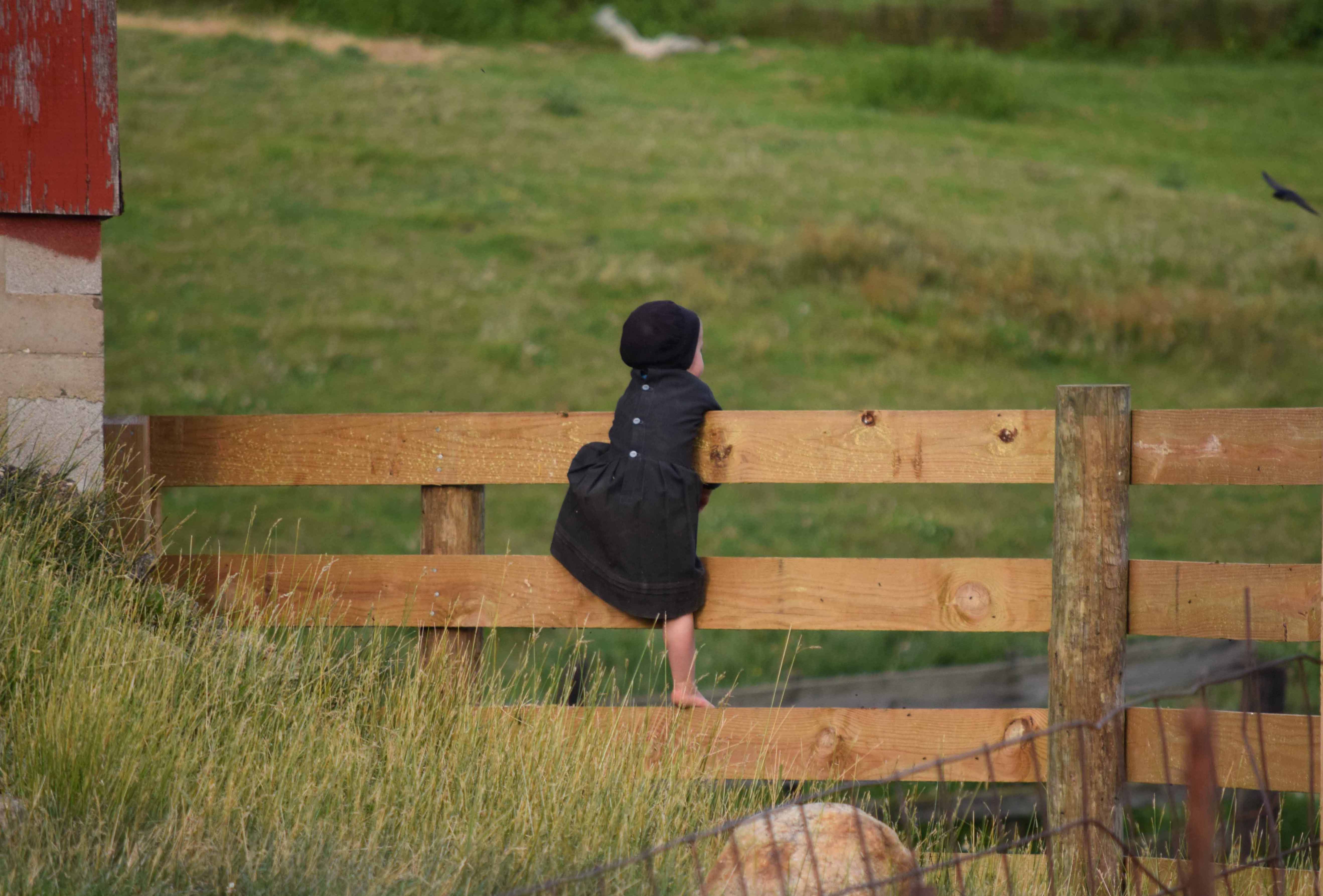 Common Misconceptions About The Amish - Part 2