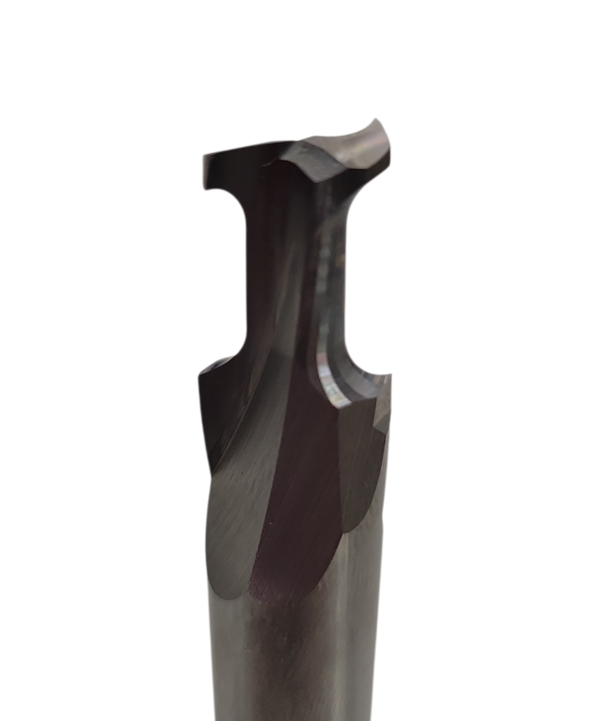 Plunge-capable double round-over router bit, 2-flute design, shown on white background