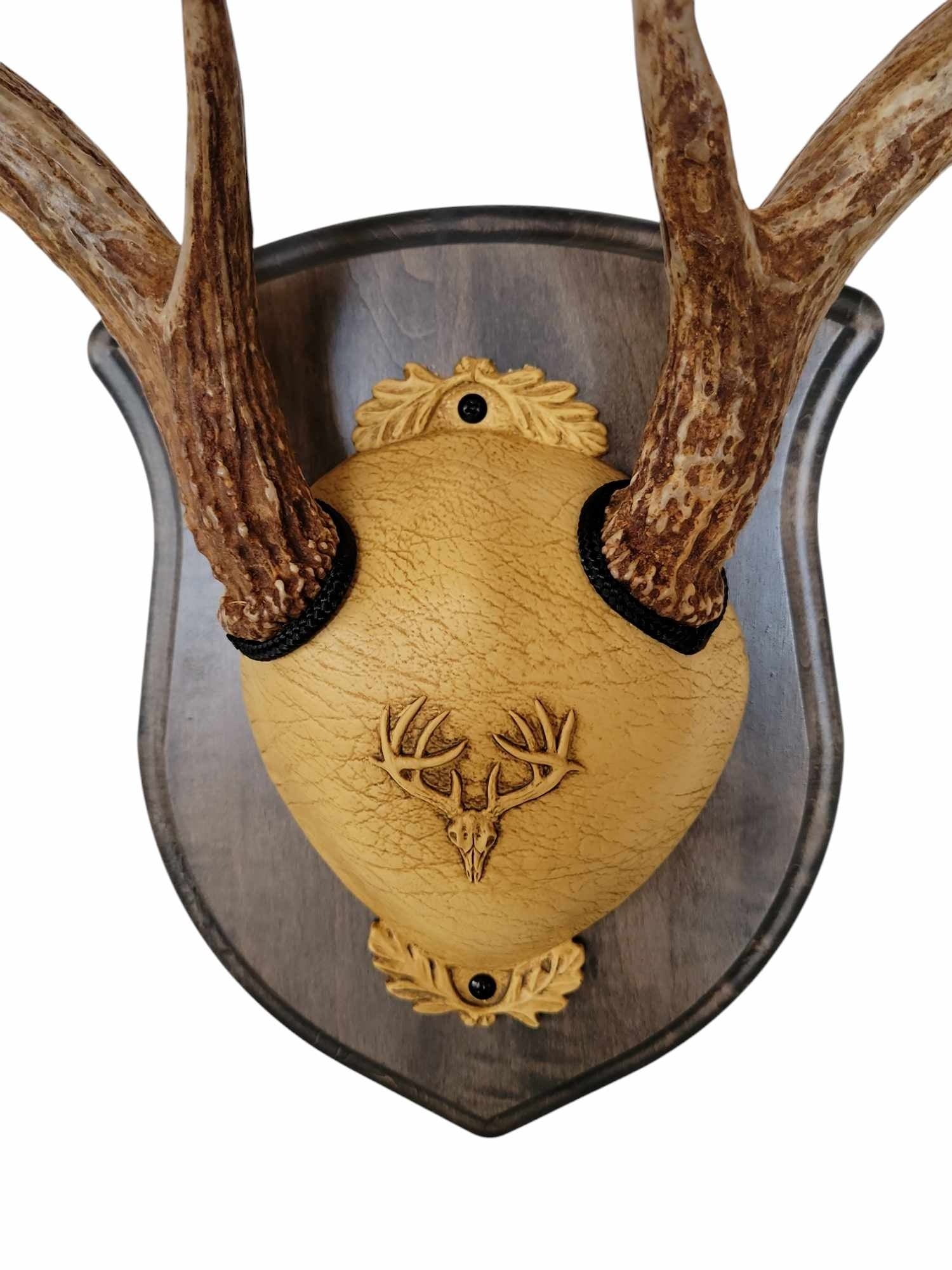 Whitetail Deer Antler Mounting Kit, Solid Wood Plaque, Includes All Mounting Hardware (Gray Crest) - Cauff.com LLC