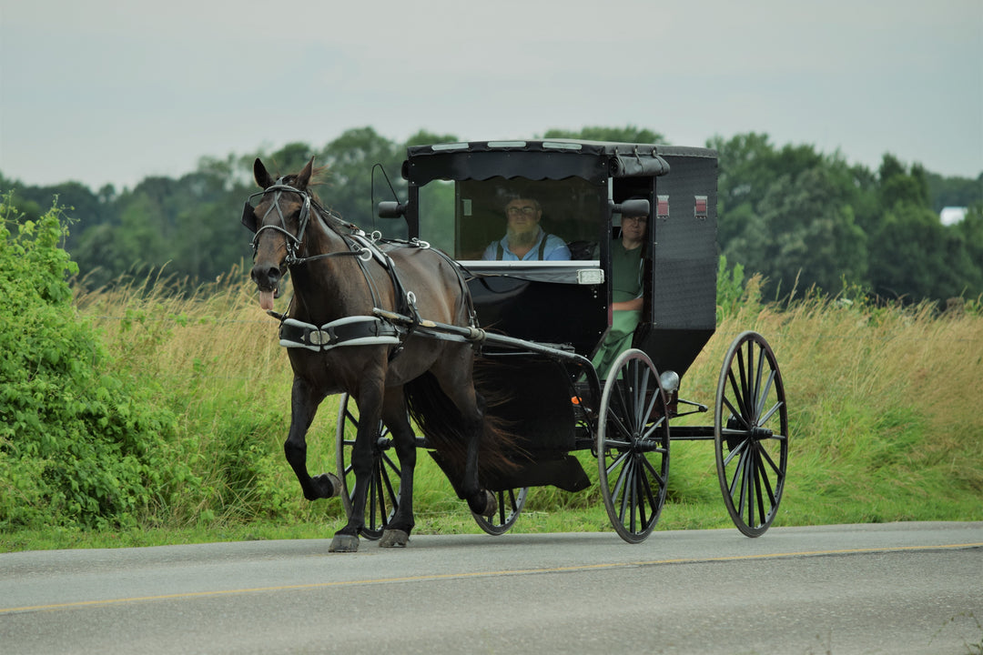 Common Misconceptions About The Amish
