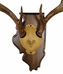 Whitetail Deer Antler Mounting Kit, Solid Wood Plaque, Includes All Mounting Hardware Illinois Walnut Finish