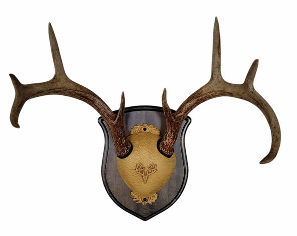 Whitetail Deer Antler Mounting Kit, Solid Wood Plaque, Includes All Mounting Hardware (Gray Crest)