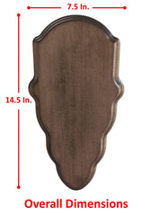 Deer Skull Mount Face Plate with Mounting Hardware, European Style, Whitetail- Walnut Finish