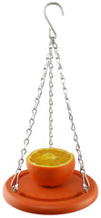 Orange Skewer Fruit Feeder Hanging Bird Feeder Poly - Cauff.com LLC